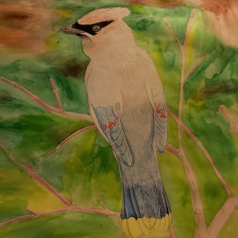 Meet your Posher, Lori